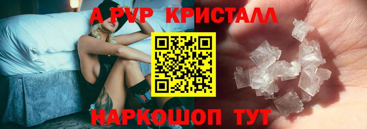Alfa_PVP СК Кострома