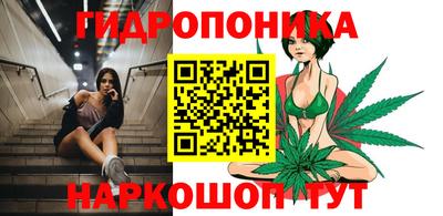 индика Чапаевск