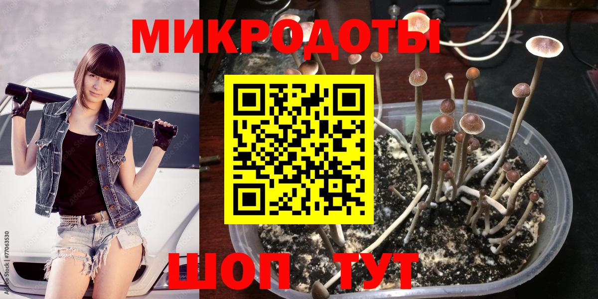 Псилоцибиновые грибы мицелий Кострома